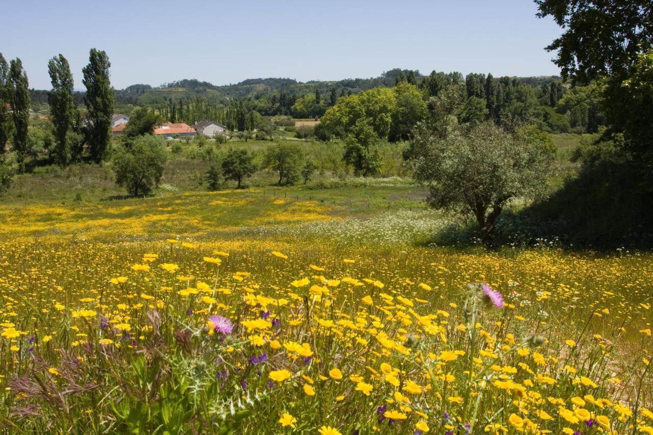오우렘 Quinta Da Alcaidaria Mor 빌라 외부 사진